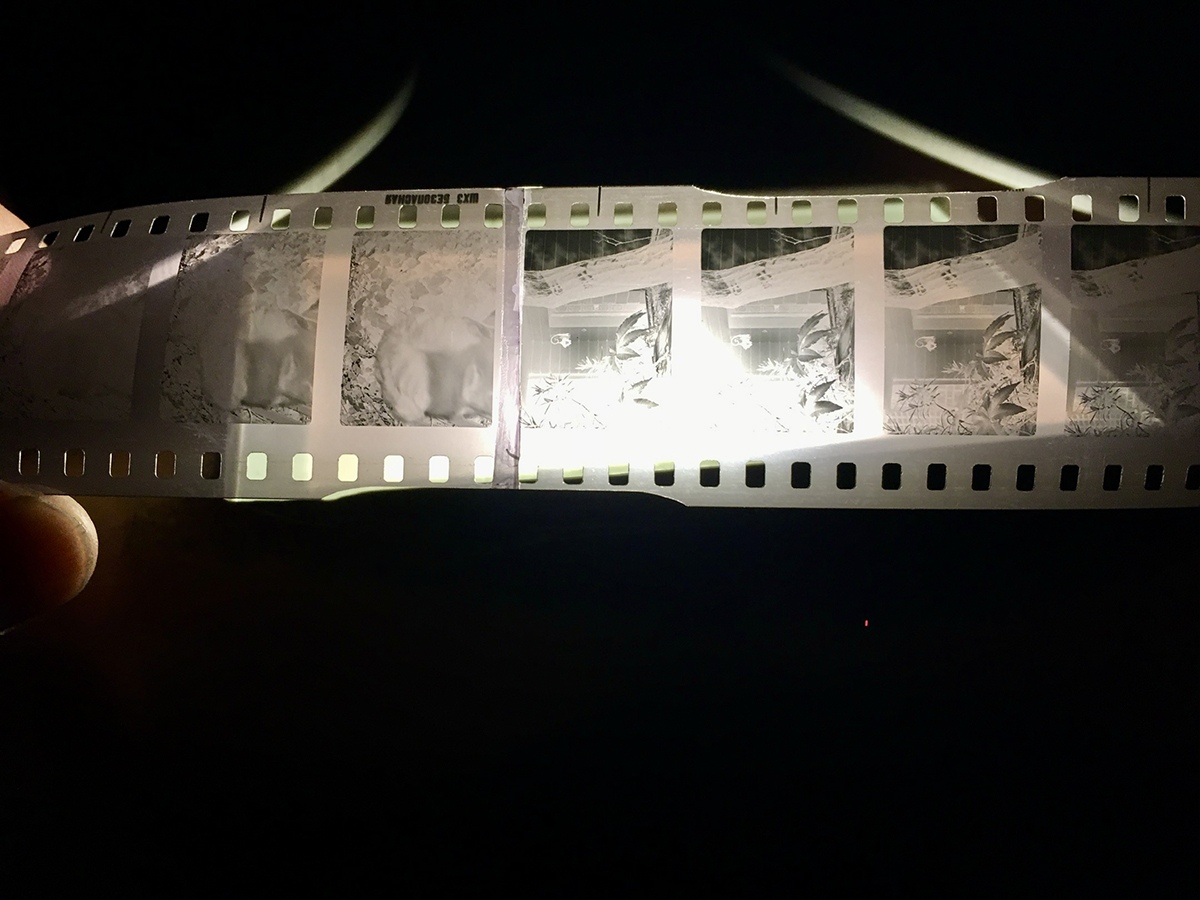 Cintel, Türkiye'nin Film Mirasını Geleceğe Taşıyor