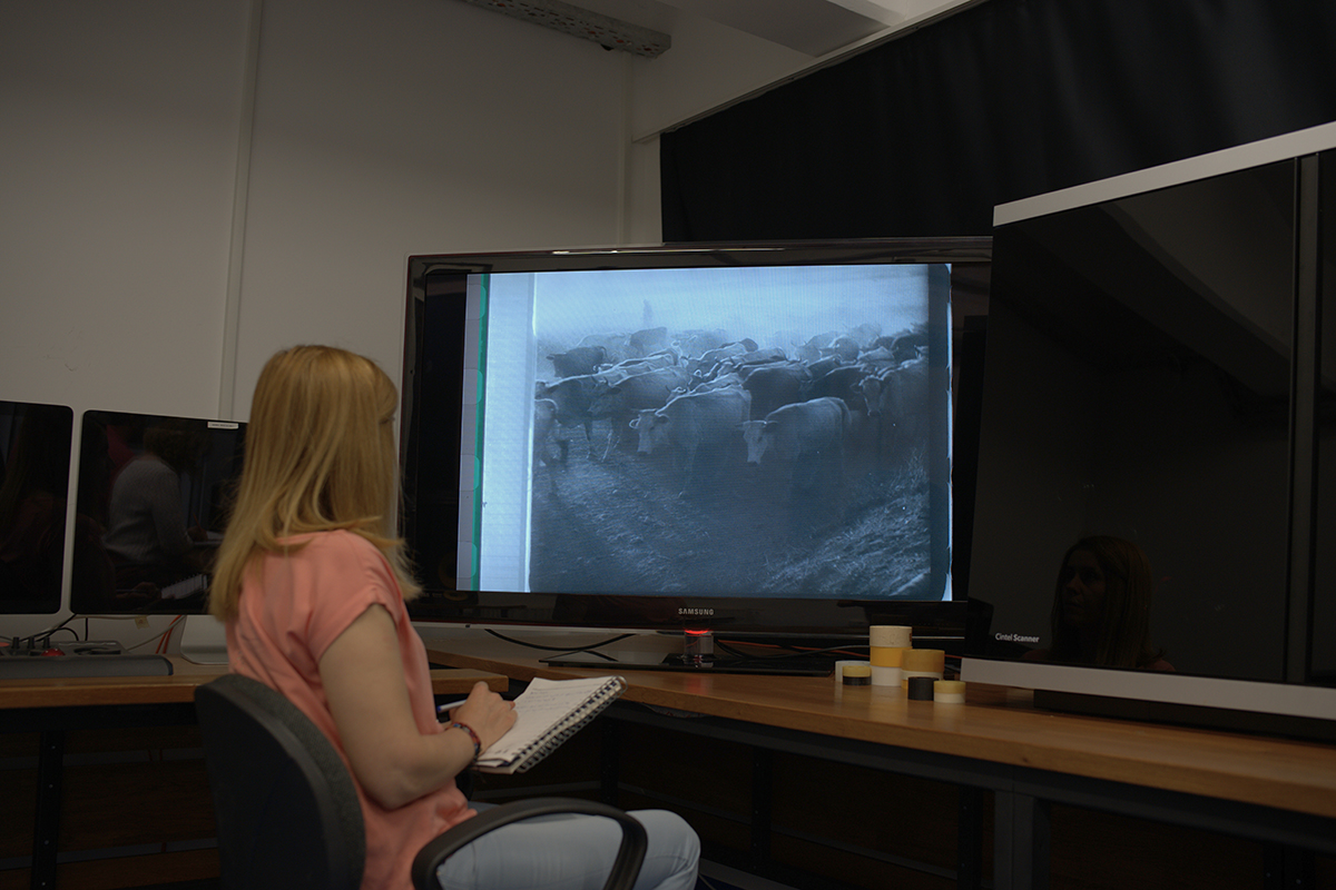 Cintel, Türkiye'nin Film Mirasını Geleceğe Taşıyor